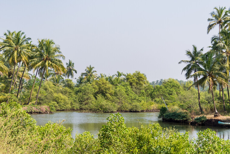 India 2014 - Goa 021.jpg